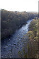 The South Tyne from Lambley Viaduct