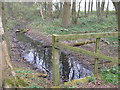 Bridge over ditch, Square Plantation