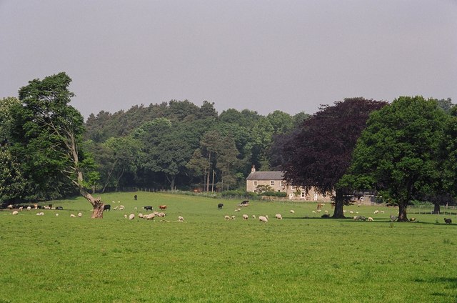 Farm near Ridley Hall