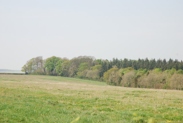 Norton Coppice