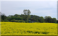 View towards pumping station