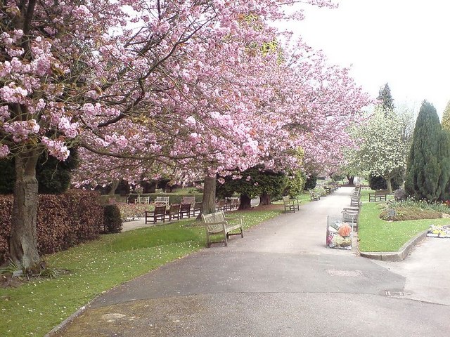 Spring blossom in the grounds of Rawdon Crematorium