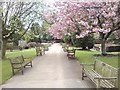 The main avenue, Rawdon Crematorium