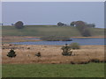 Llyn Eiddwen