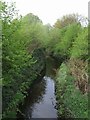 Smestow Brook in the Valley Park