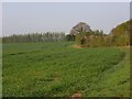 Farmland, Marlborough