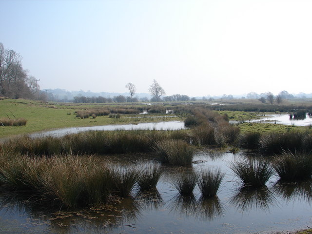 Marshes of the River Tillingham