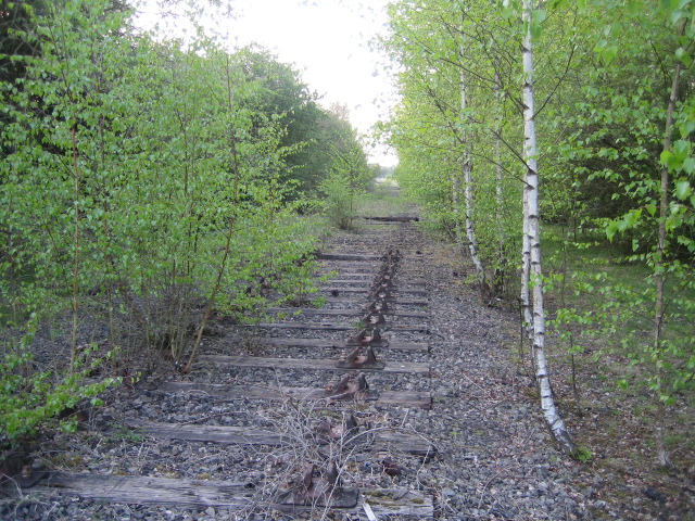 Dismantled railway looking north 2