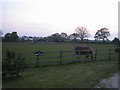 Prune Farm near Edgcott