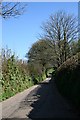 Country lane north of Stoke Climsland