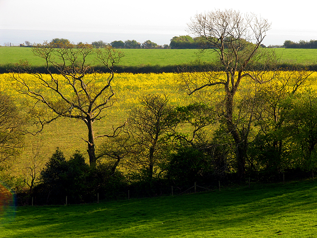 Farmland near Nicholaston Farm