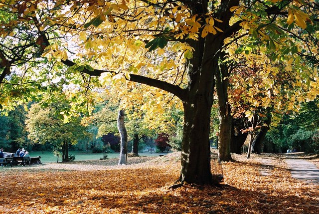 Moseley Park in autumn © marie :: Geograph Britain and Ireland