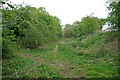 Old Railway Trackbed near Thorpe Mandeville