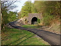 NCN46 and the Clydach Tunnels