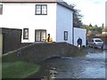 The Nailbourne in flood, Patrixbourne