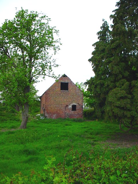 Derelict Cottage at Edgebold
