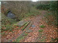 Chapple bridge - granite tramway