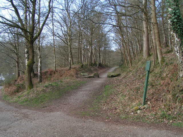 Old Railway Track from Coleford to Parkend
