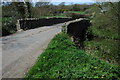 Bridge over the river Walden