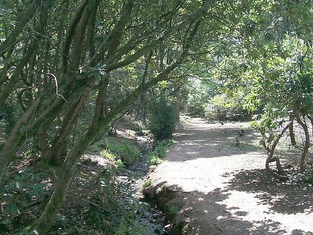 Parc Cefn Onn, Llysfaen / Thornhill © Kev Griffin cc-by-sa/2.0 ...