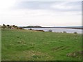 Reva Reservoir from Bingley Road