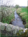 Bridge, Blackthorn and Burn