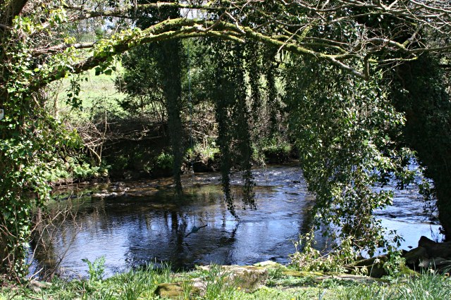 The River Lynher by Plushabridge