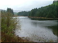 NM7967 : The Western End of Loch Doilet by Dave Fergusson
