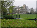 All Saints Church - with Highland cattle