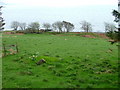 Grazing Land at Ormsaigbeg