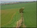 SU1669 : Farmland near Marlborough by Andrew Smith