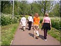 Riverside walk