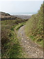 Wanson Mouth and coast path