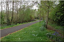 J4774 : Kiltonga nature reserve, Newtownards (6) by Albert Bridge