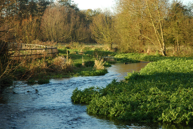 River Chess © Adrian Perkins cc-by-sa/2.0 :: Geograph Britain and Ireland