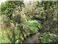 Stream at Tregidden