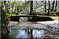 A streams eye view of a ford