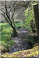 Stream across the flood plain