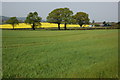 Farmland near Church House Farm, Collingwood