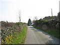 SH5563 : Gallt Dinas Mawr hill by Eric Jones