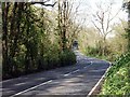 A3078 winding through the woods near Freewater