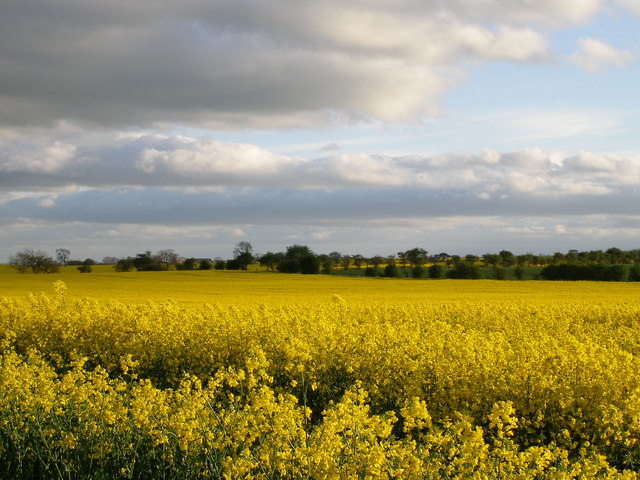 English Farmland At Its Loveliest C Carol Rose Geograph Britain And Ireland