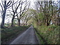 Lon Wledig ger Capel Seion / Country Lane near Capel Seion