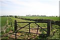 View to Hawton