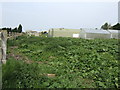 Horticultural unit at HMP Swaleside