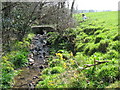 Footpath crossing the stream between St Giles in the Wood and Dodscott