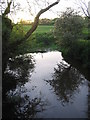 River Lodden from Lawn Bridge