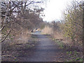 Former railway line near Newtyle