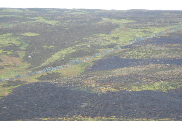 Long distance view of grouse butts along uphill wall