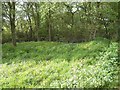 Pond at Jamesland Farm, Copsale